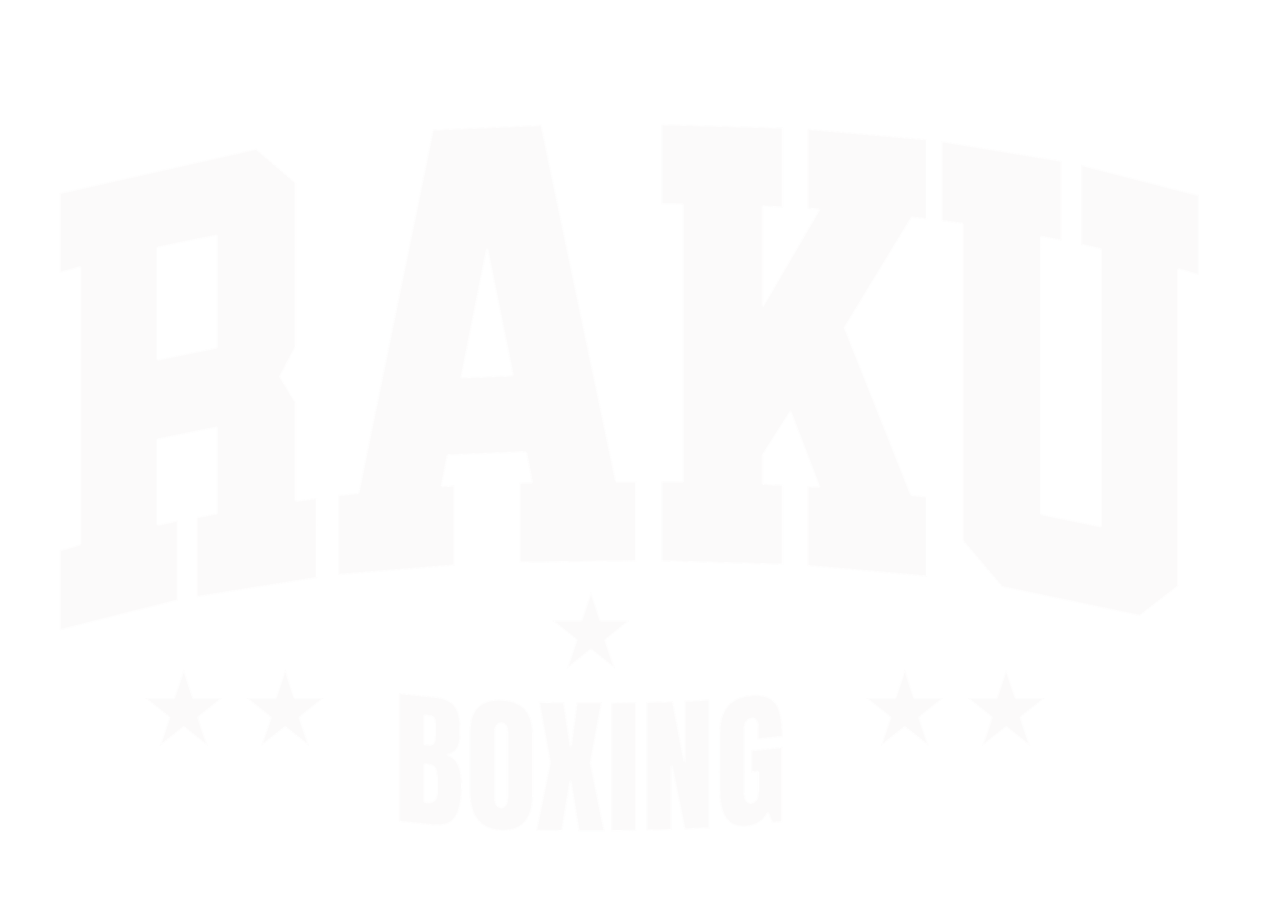 RAKU-Boxing